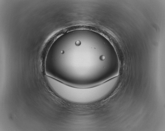 X0000112791310200908281458