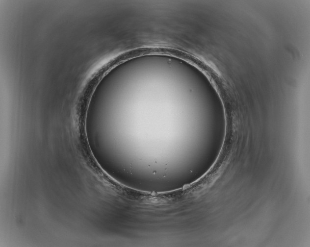 X0000112791311200908281458