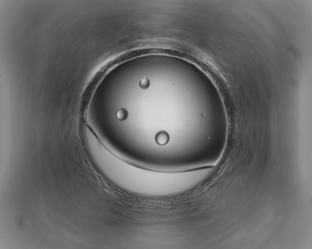 X0000112791312200908281458