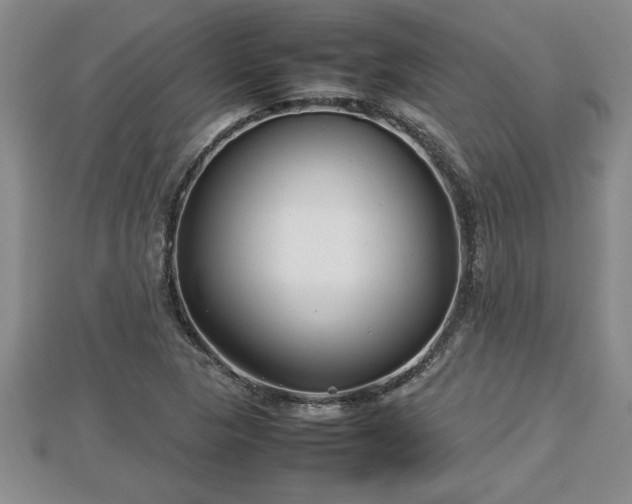 X0000112791313200908281458