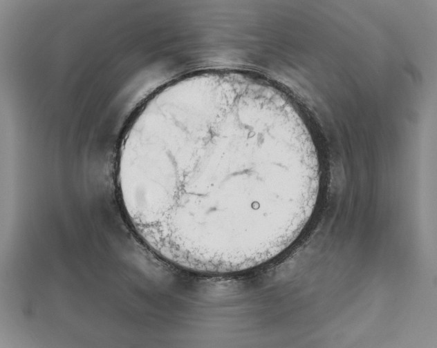 X0000112791314200908281458