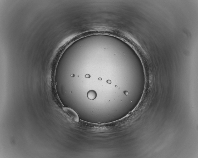 X0000112791315200908281458