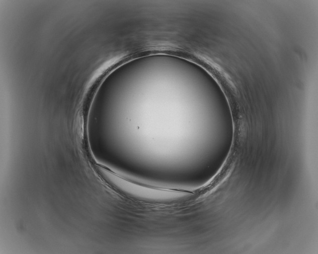 X0000112791317200908281458