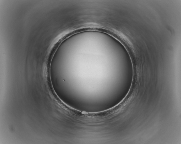 X0000112791318200908281458