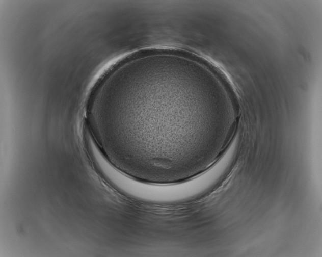 X0000112791319200908281458