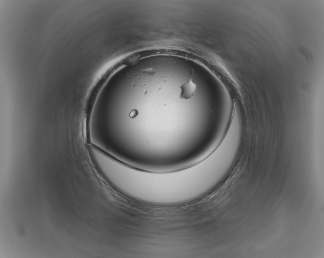 X0000112791320200908281458