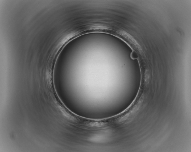 X0000112791321200908281458