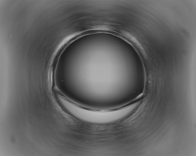 X0000112791323200908281458