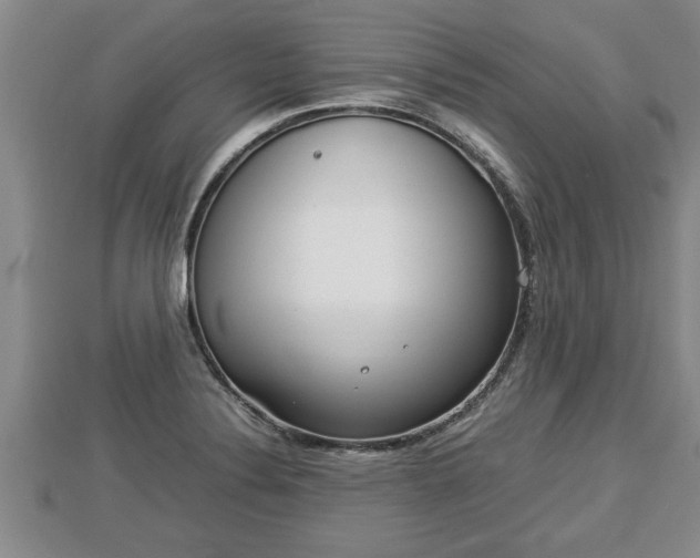 X0000112791324200908281458