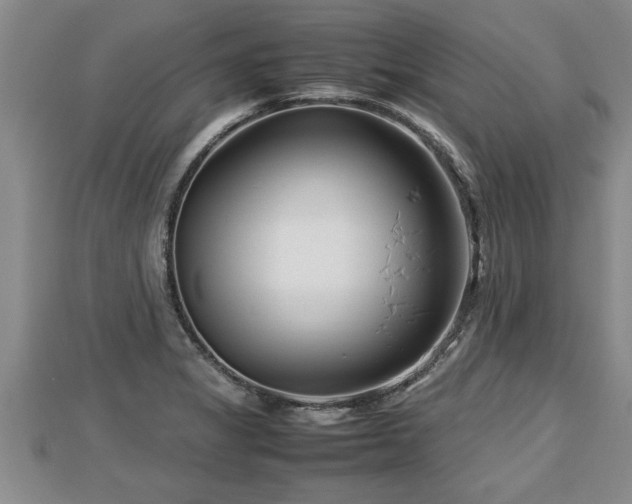 X0000112791325200908281458