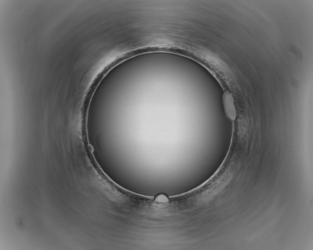 X0000112791326200908281458