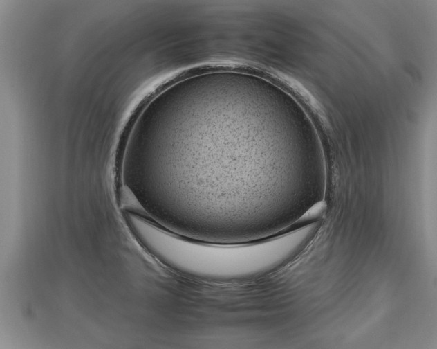 X0000112791327200908281458