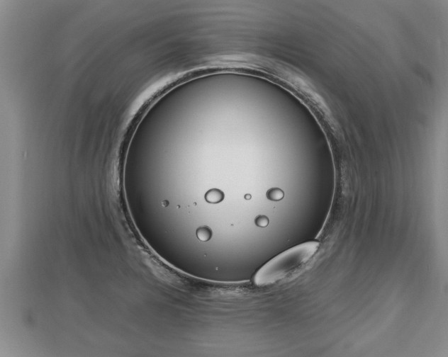 X0000112791328200908281458