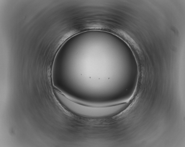 X0000112791329200908281458