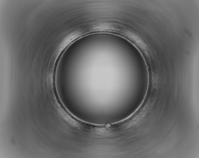 X0000112791330200908281458