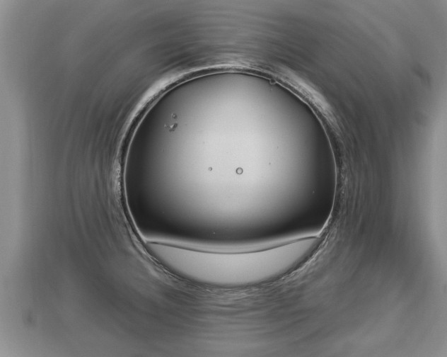 X0000112791332200908281458