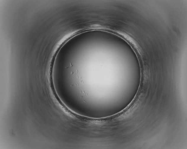 X0000112791333200908281458