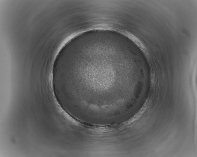 X0000112791334200908281458