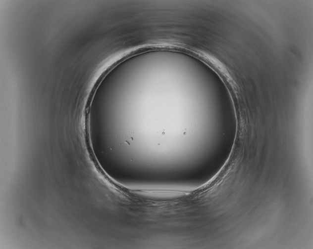 X0000112791335200908281458