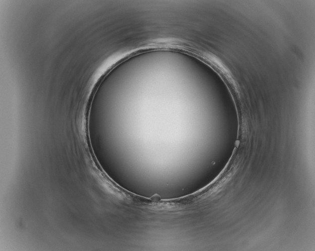 X0000112791336200908281458