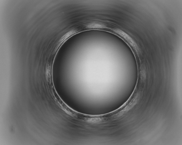 X0000112791337200908281458