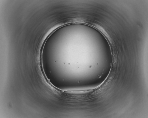 X0000112791339200908281458