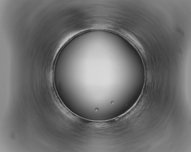 X0000112791340200908281458