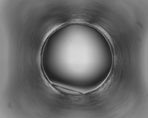 X0000112791341200908281458