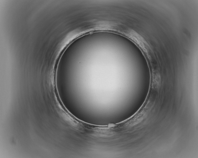 X0000112791342200908281458