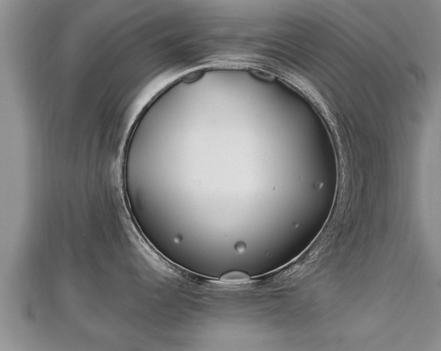 X0000112791344200908281458