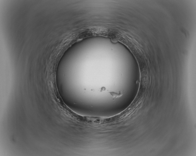 X0000112791345200908281458