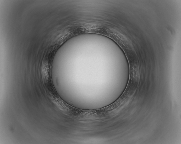 X0000112791346200908281458