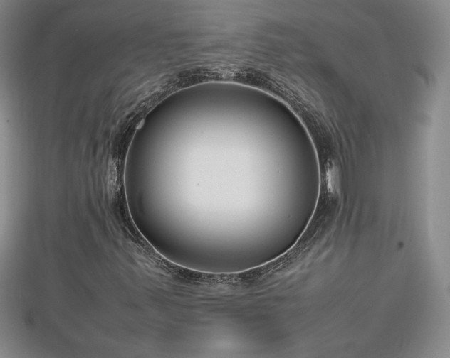 X0000112791347200908281457