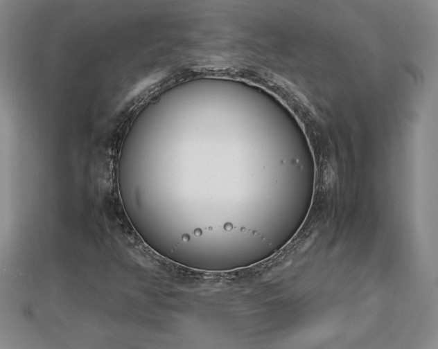 X0000112791350200908281457