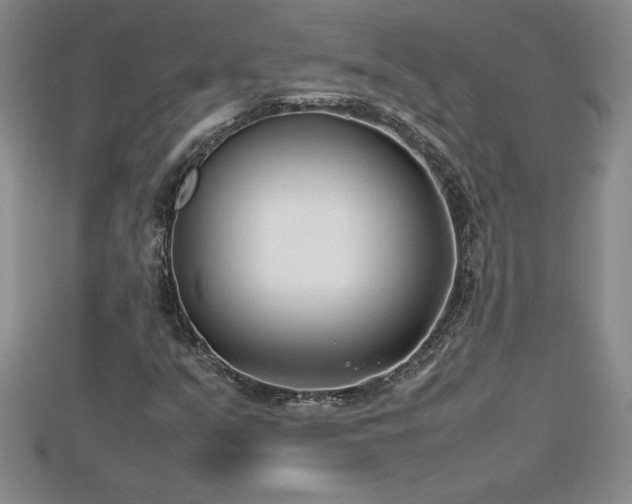 X0000112791351200908281457