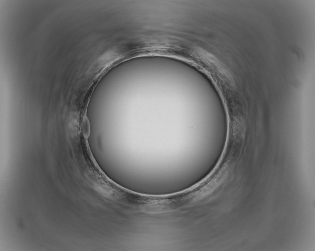 X0000112791353200908281457