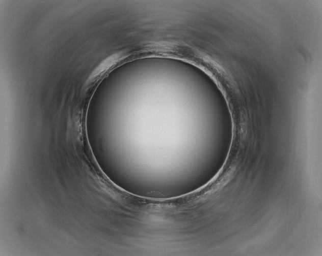 X0000112791354200908281457