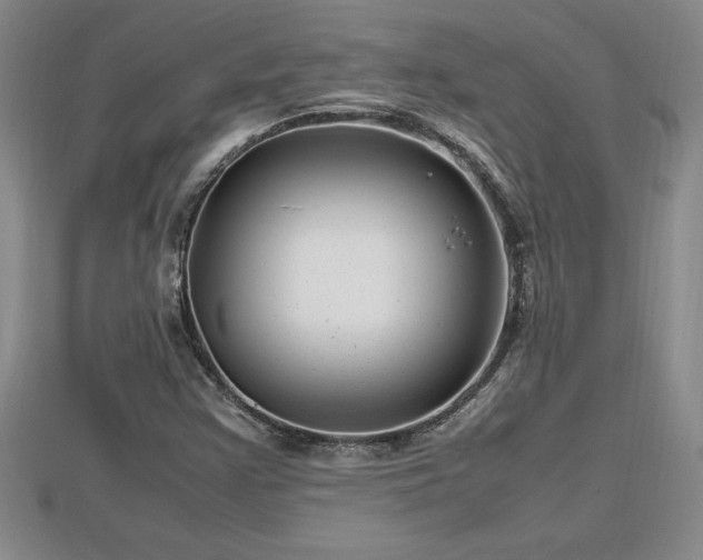 X0000112791355200908281457