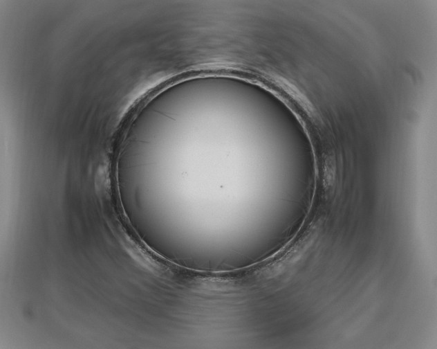 X0000112791356200908281457