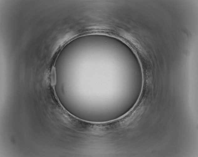 X0000112791357200908281457