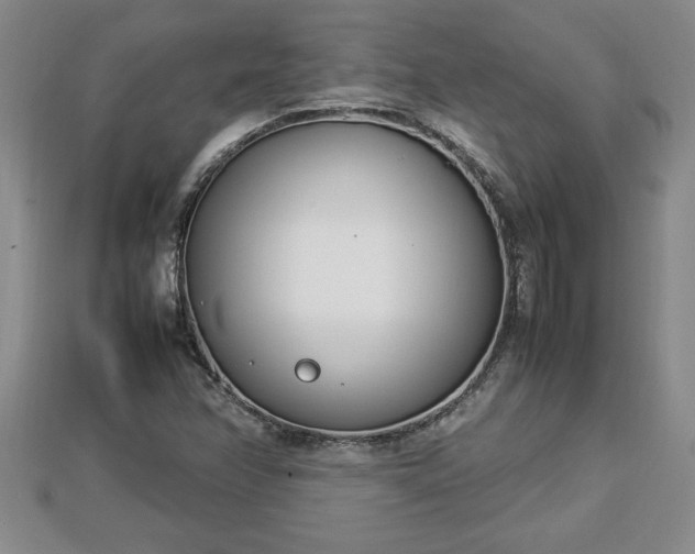 X0000112791358200908281457