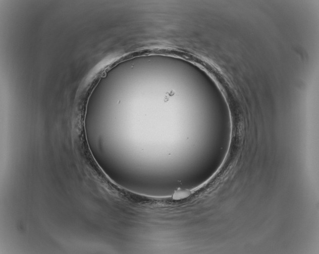 X0000112791359200908281457