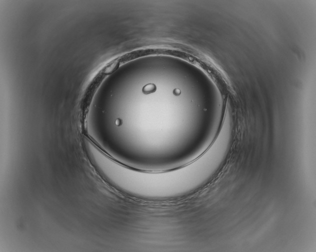 X0000112791360200908281457