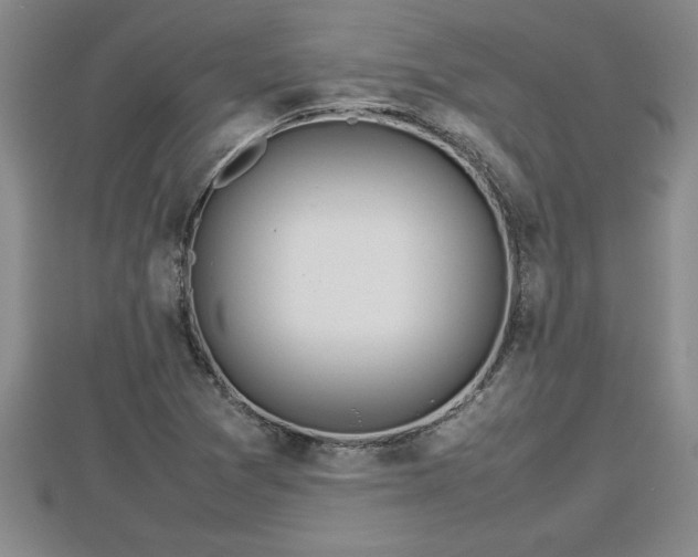 X0000112791361200908281457