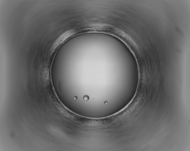 X0000112791362200908281457