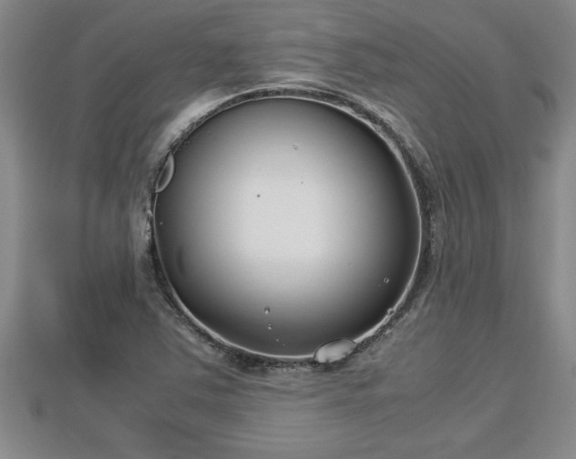 X0000112791363200908281457