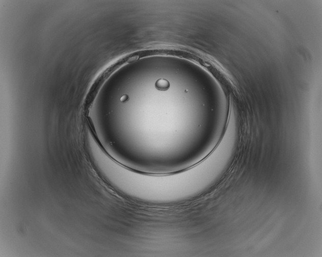 X0000112791364200908281457