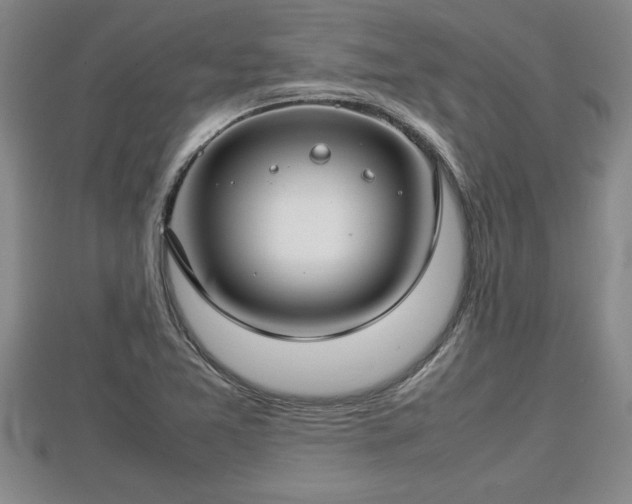 X0000112791365200908281457