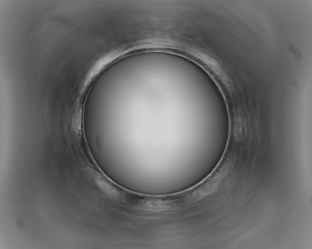 X0000112791366200908281457