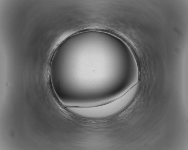 X0000112791367200908281457